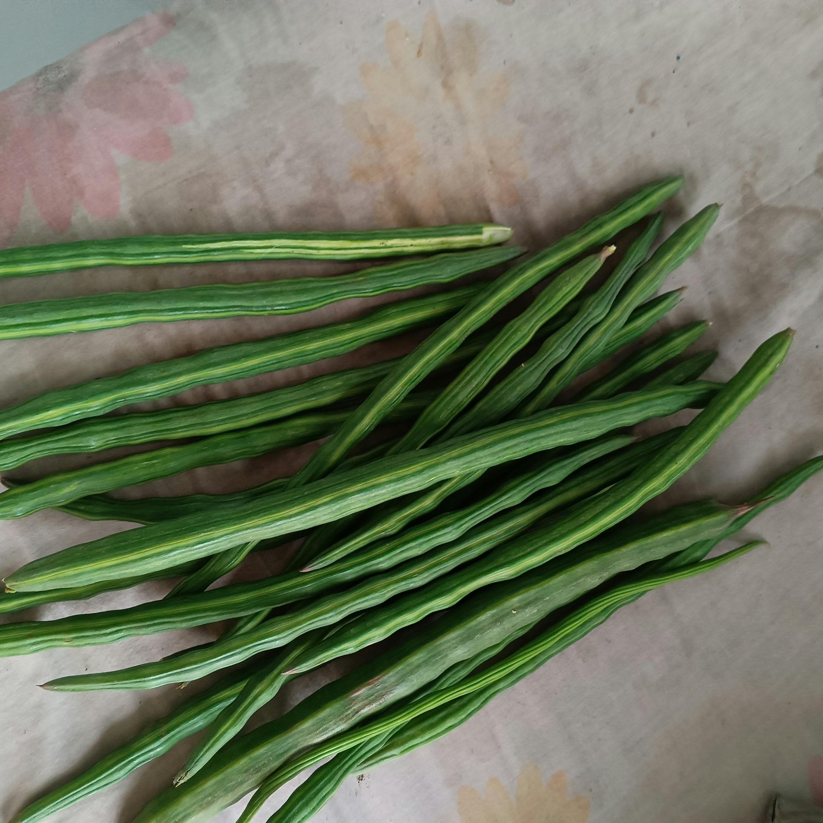 Fresh Onion
