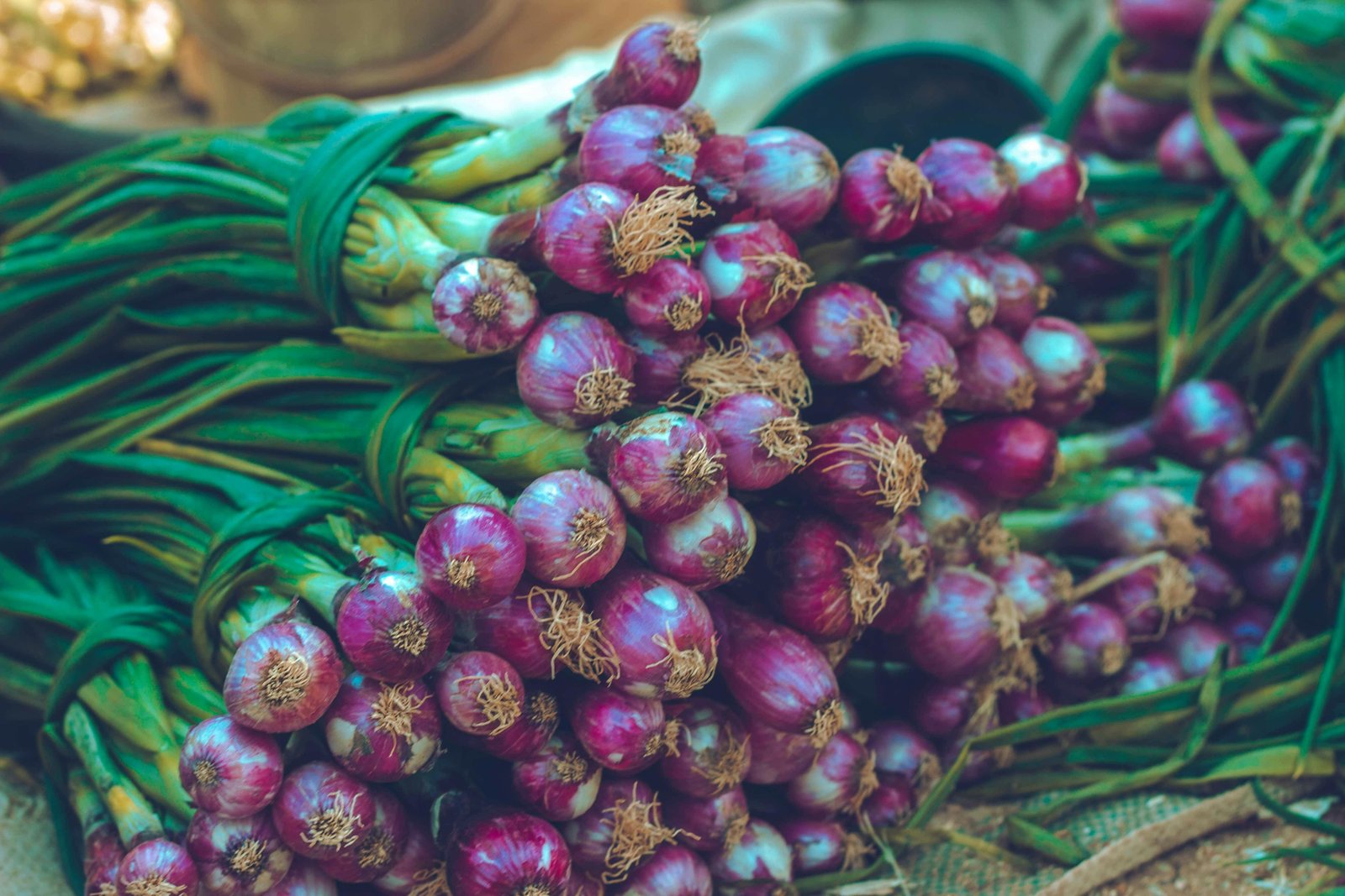 Fresh Onion